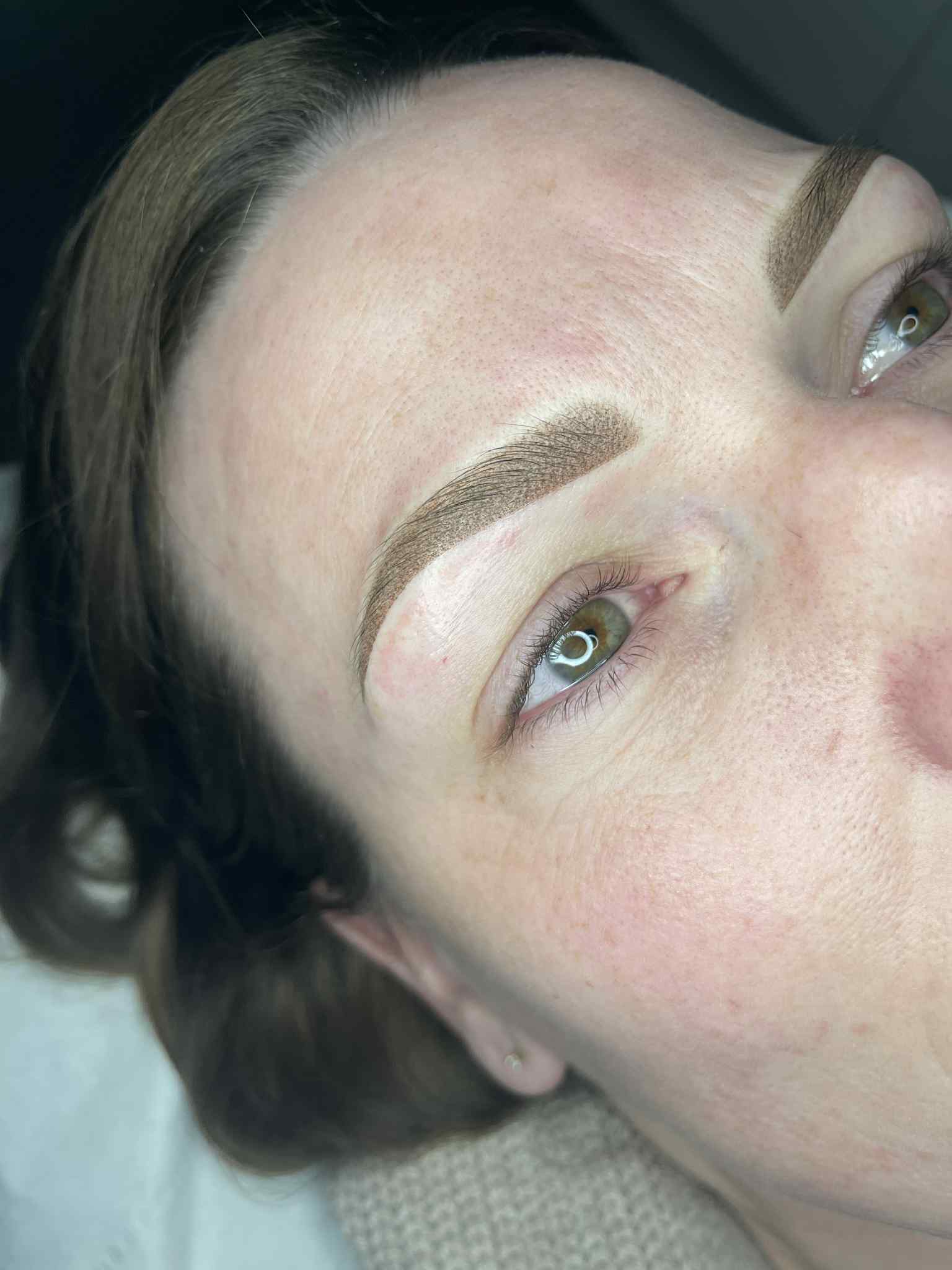 Ombre Brows Results Gallery